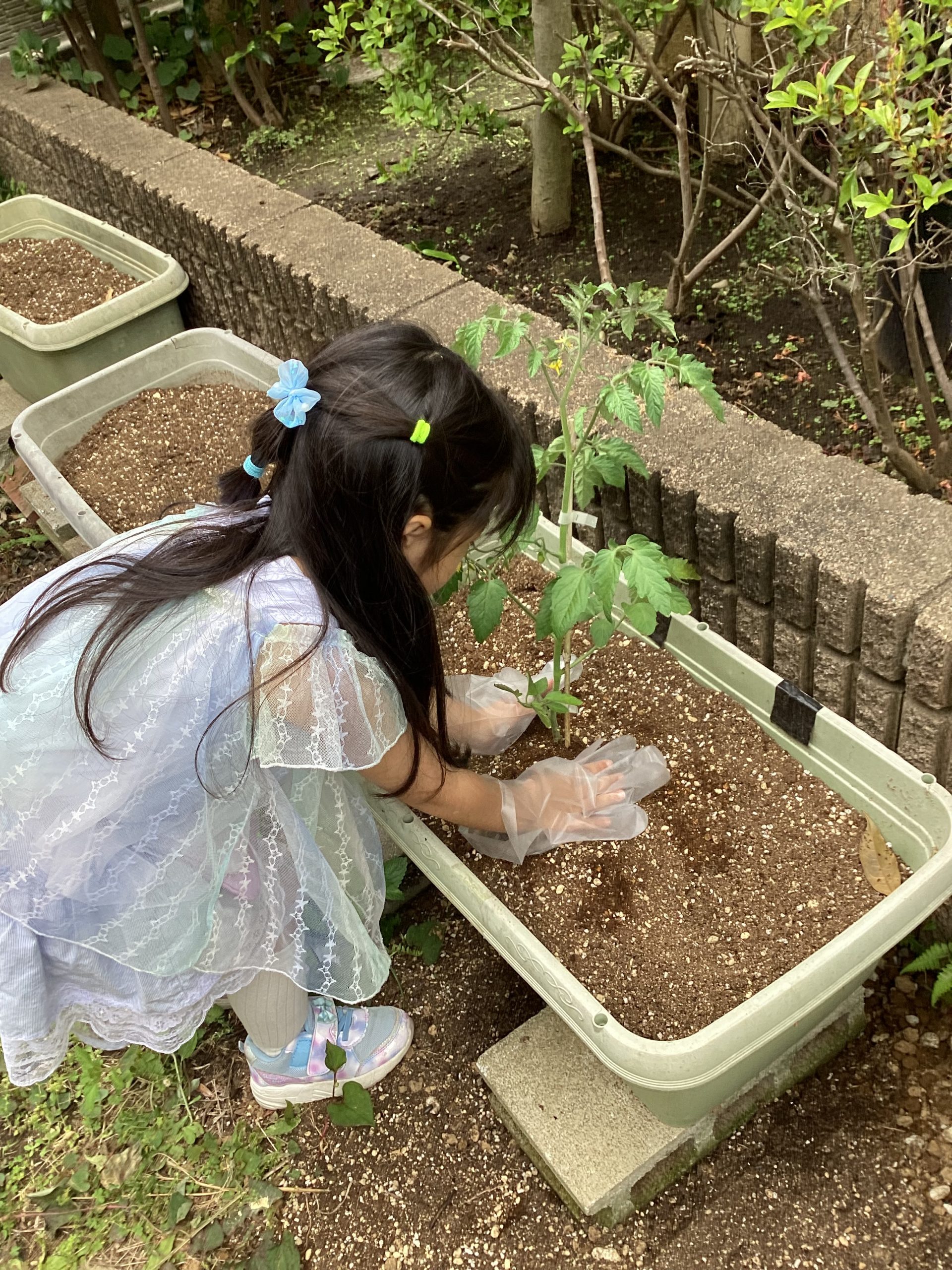 小農の活動「もとまち農園」