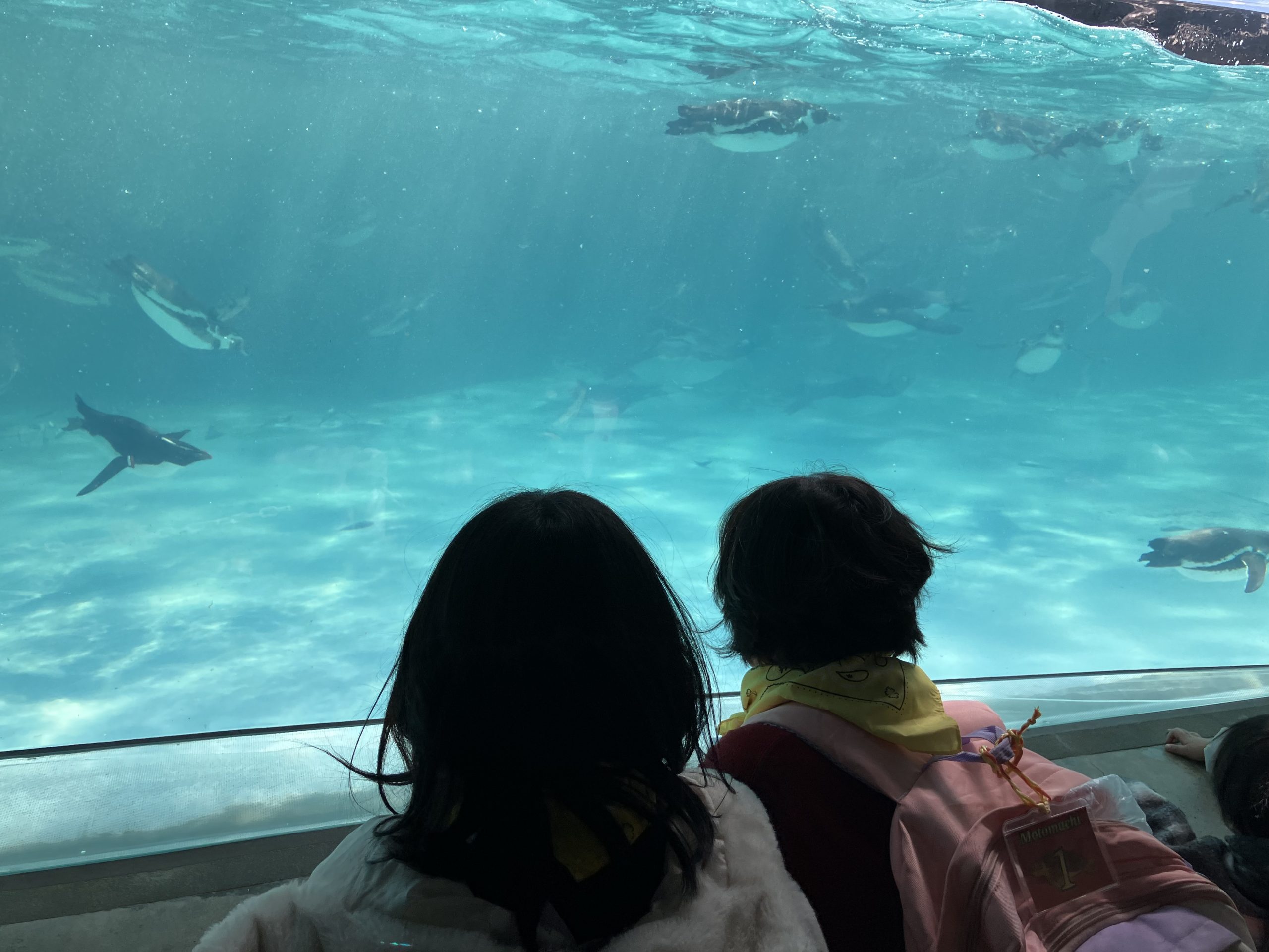 ３月「すいぞくかんにいこう」　もとまち児童館遠足